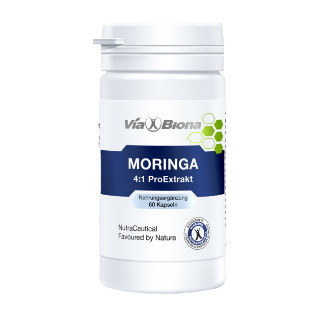 Moringa oleifera 4:1 ProExtrakt